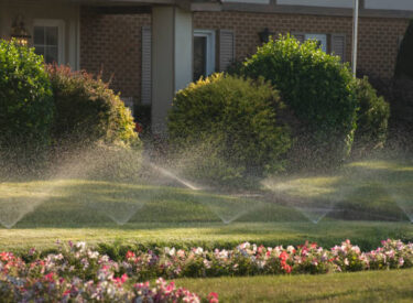 Irrigation System 2